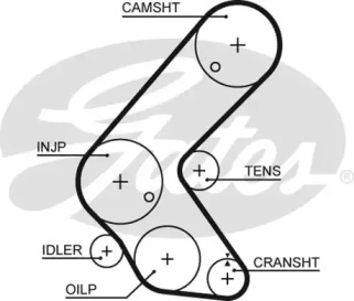Ремень (GATES: 5679XS)