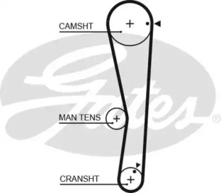 Ремень (GATES: 5687XS)