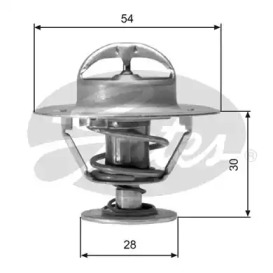 Термостат (GATES: TH02491G1)
