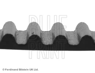 Ремень (BLUE PRINT: ADA107501)