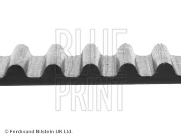 Ремень (BLUE PRINT: ADA107505)