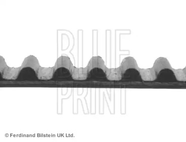 Ремень (BLUE PRINT: ADC47512)