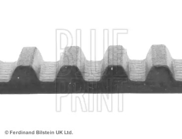 Ремень (BLUE PRINT: ADG07517)