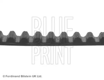 Ремень (BLUE PRINT: ADG07533)