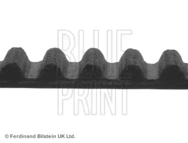 Ремень (BLUE PRINT: ADG07536)