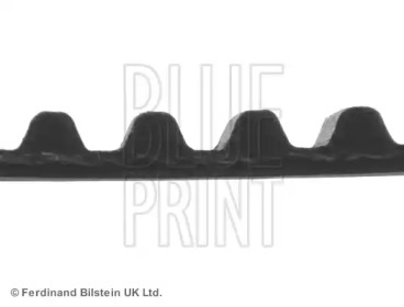 Ремень (BLUE PRINT: ADM57507)