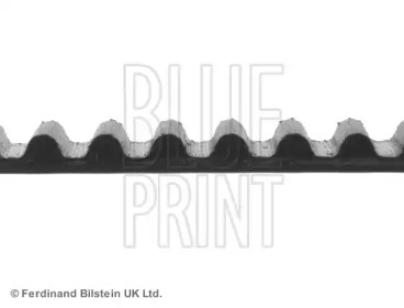 Ремень (BLUE PRINT: ADM57508)