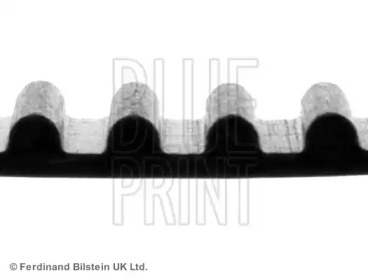 Ремень (BLUE PRINT: ADM57512)