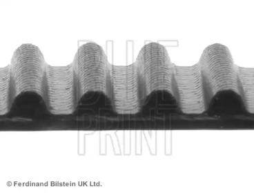 Ремень (BLUE PRINT: ADM57517)