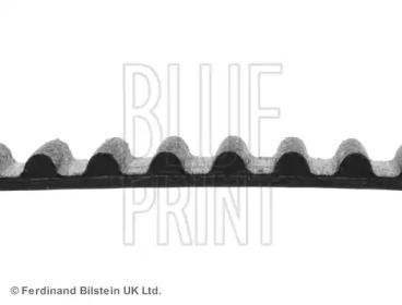 Ремень (BLUE PRINT: ADM57526)