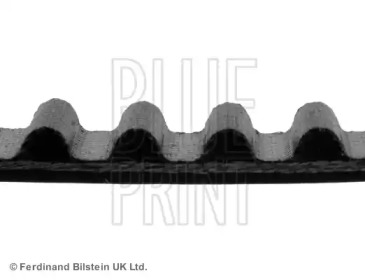 Ремень (BLUE PRINT: ADM57530)
