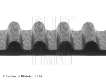 Ремень (BLUE PRINT: ADN17516)