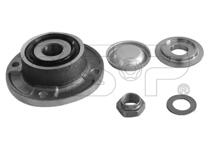 Комплект подшипника (GSP: 9225032K)