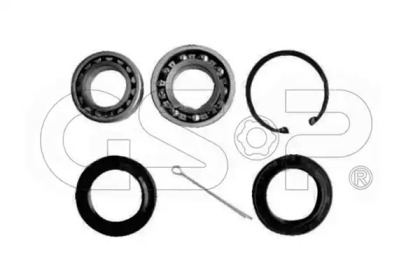 Комплект подшипника (GSP: GK0910)