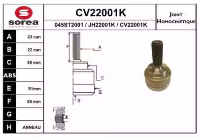 Шарнирный комплект (EAI: CV22001K)