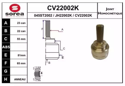 Шарнирный комплект (EAI: CV22002K)