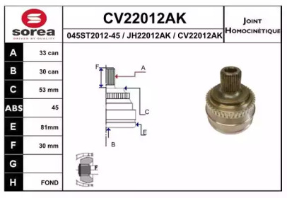 Шарнирный комплект (EAI: CV22012AK)