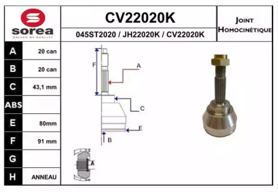 Шарнирный комплект (EAI: CV22020K)