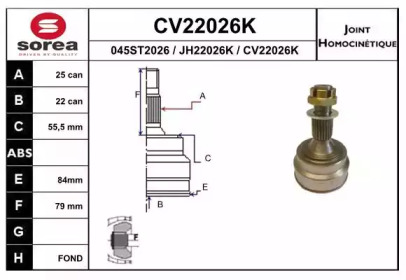 Шарнирный комплект (EAI: CV22026K)