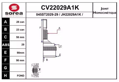 Шарнирный комплект (EAI: CV22029A1K)