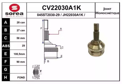 Шарнирный комплект (EAI: CV22030A1K)