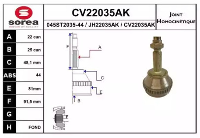 Шарнирный комплект (EAI: CV22035AK)