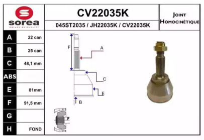 Шарнирный комплект (EAI: CV22035K)