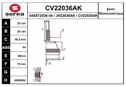 Шарнирный комплект (EAI: CV22036AK)