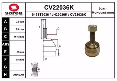 Шарнирный комплект (EAI: CV22036K)