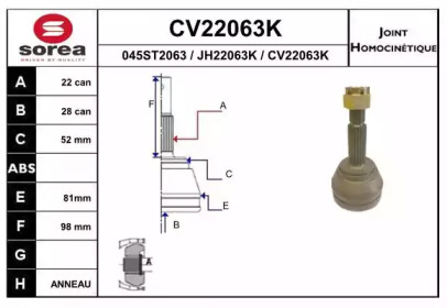 Шарнирный комплект (EAI: CV22063K)