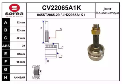 Шарнирный комплект (EAI: CV22065A1K)