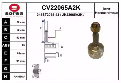 Шарнирный комплект (EAI: CV22065A2K)