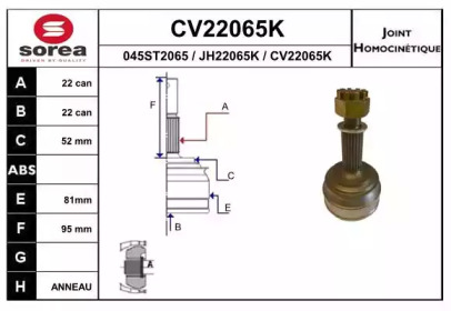 Шарнирный комплект (EAI: CV22065K)