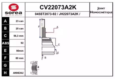 Шарнирный комплект (EAI: CV22073A2K)