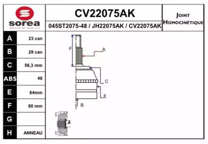 Шарнирный комплект (EAI: CV22075AK)