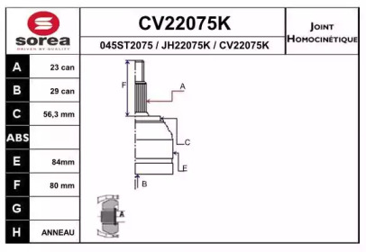 Шарнирный комплект (EAI: CV22075K)