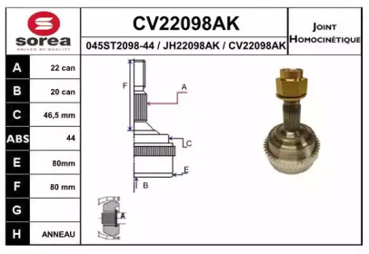 Шарнирный комплект (EAI: CV22098AK)