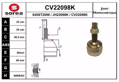 Шарнирный комплект (EAI: CV22098K)