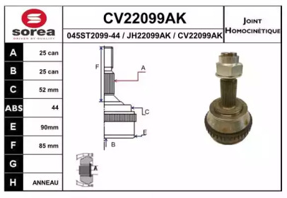 Шарнирный комплект (EAI: CV22099AK)