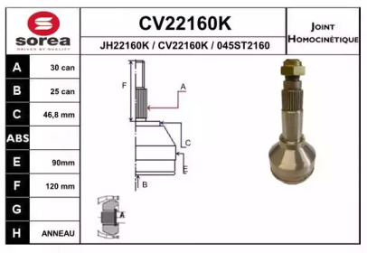 Шарнирный комплект (EAI: CV22160K)