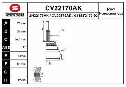 Шарнирный комплект (EAI: CV22170AK)