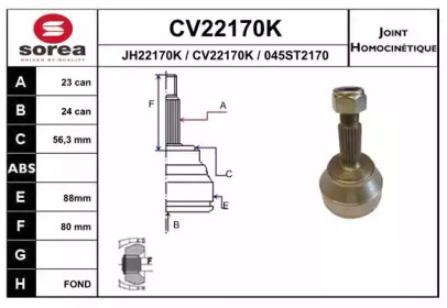 Шарнирный комплект (EAI: CV22170K)