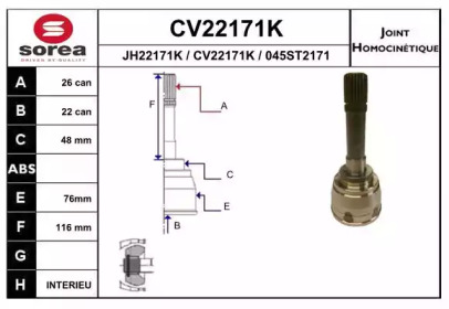 Шарнирный комплект (EAI: CV22171K)