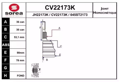 Шарнирный комплект (EAI: CV22173K)