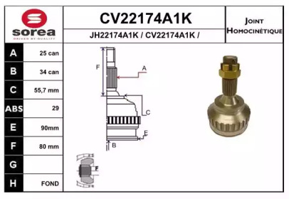 Шарнирный комплект (EAI: CV22174A1K)