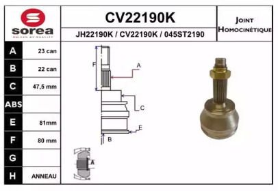 Шарнирный комплект (EAI: CV22190K)