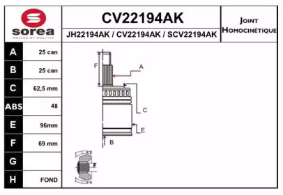 Шарнирный комплект (EAI: CV22194AK)