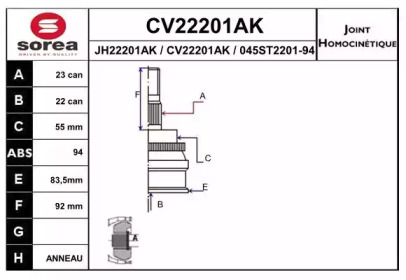 Шарнирный комплект (EAI: CV22201AK)