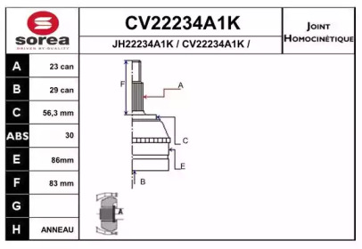 Шарнирный комплект (EAI: CV22234A1K)