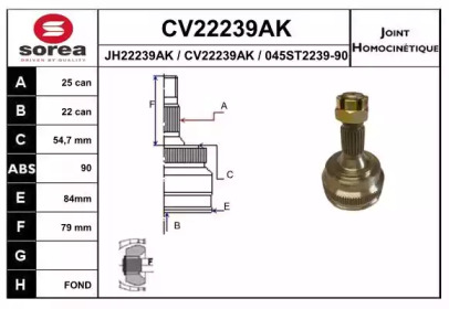 Шарнирный комплект (EAI: CV22239AK)